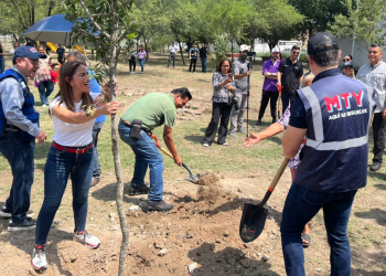 Monterrey Busca Reforestar Con 85 Mil Árboles Nativos