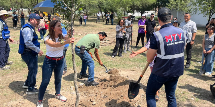 Monterrey Busca Reforestar Con 85 Mil Árboles Nativos