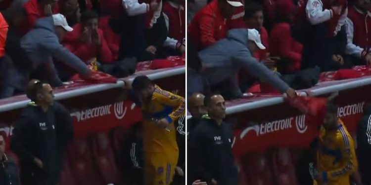 Incidente En El Nemesio La Final: Gignac Agredido