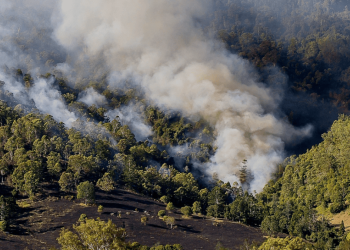riesgo-de-incendios-forestales-calor-extremo-nuevo-leon-ola-de-calor