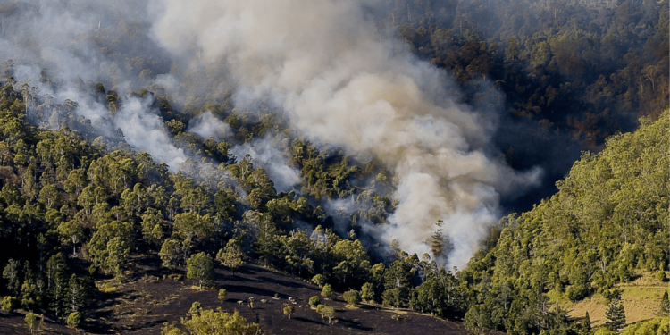 riesgo-de-incendios-forestales-calor-extremo-nuevo-leon-ola-de-calor