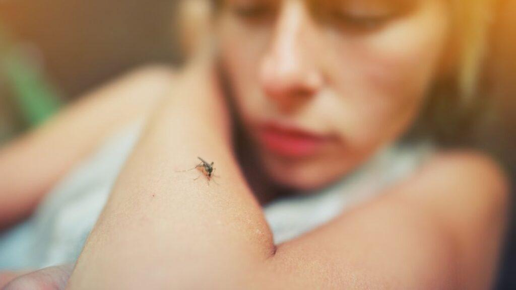 Mosquito resting on a forearm with a woman blurred in the background (soft focus).