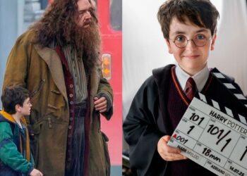 harry potter serie crónicas regias